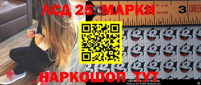 стафф Коммунар