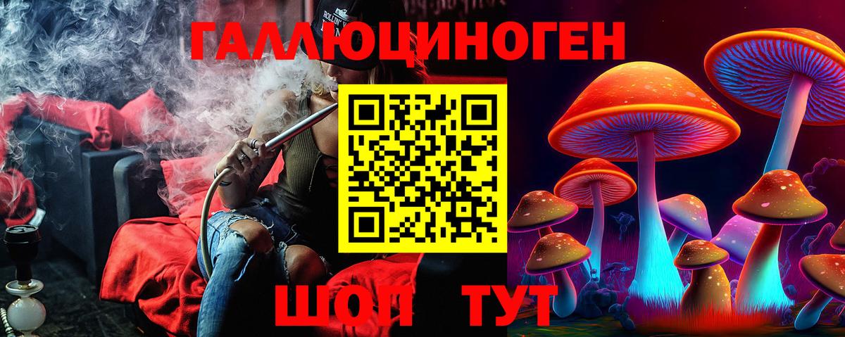 Псилоцибиновые грибы Psilocybine cubensis Евпатория